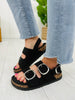 Strapped For Style Sandals in Black
