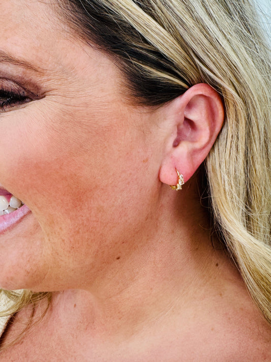 Crystal Cascade Earrings