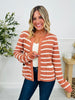 Harbor Breeze Cardigan In Terracotta
