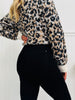 Judy Blue Black By Popular Demand Tummy Control Bootcut Jeans