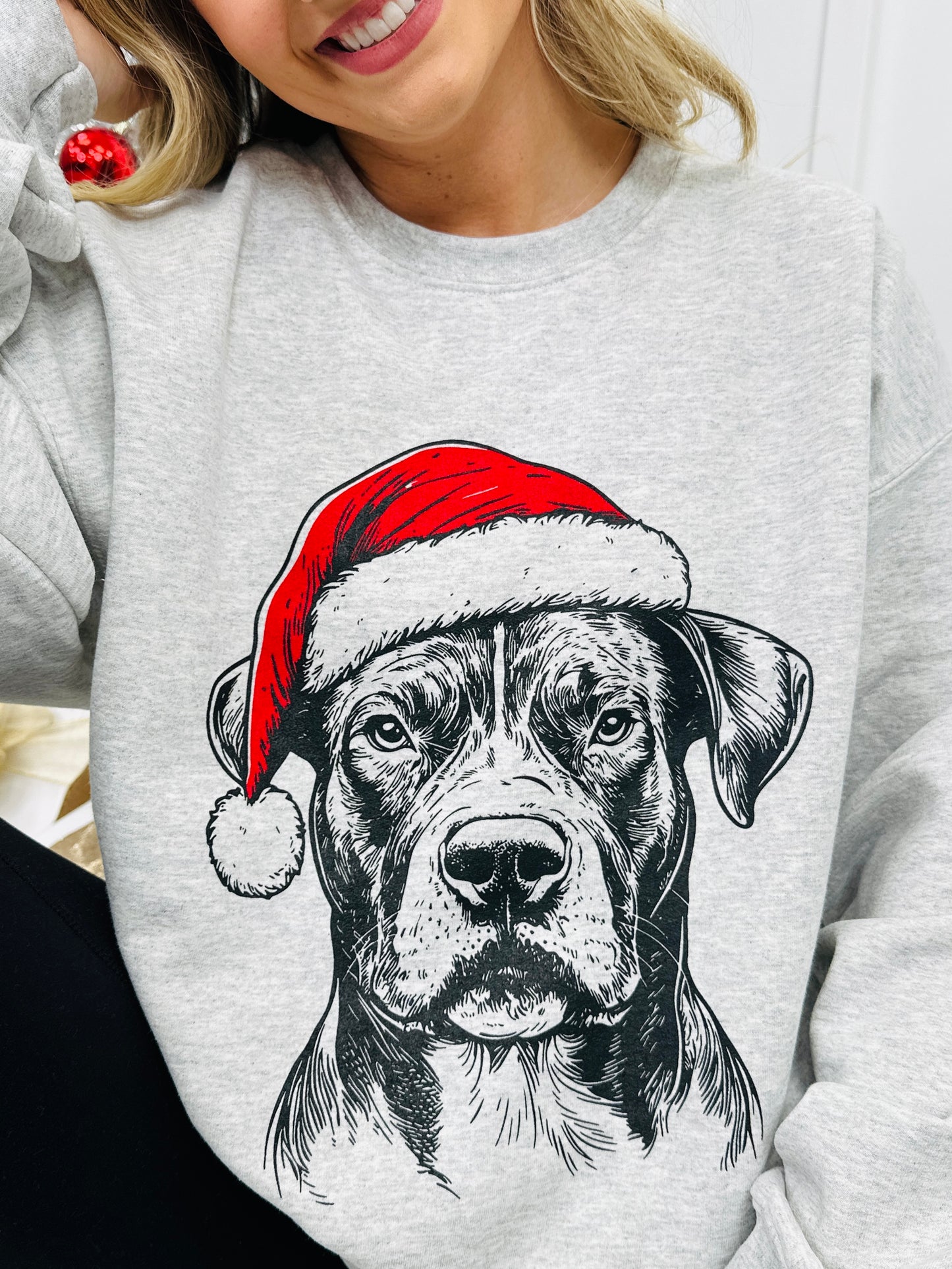 Jolly Pit Bull Graphic Crewneck Sweatshirt