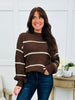 Made Our Own Light Sweater In Brown