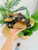 Naturally Elevated Wedges In Black Tan Floral