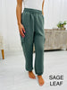 REG/CURVY The Odds Are In Your Favor Joggers- Multiple Colors!