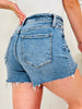 Heat Wave Tummy Control Shorts