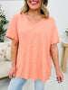 Summer Staple Doorbuster Top- Multiple Colors!