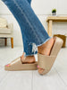Blank Slate Slides- Multiple Colors!