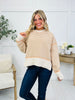Espresso & Cream Sweater In Multiple Colors