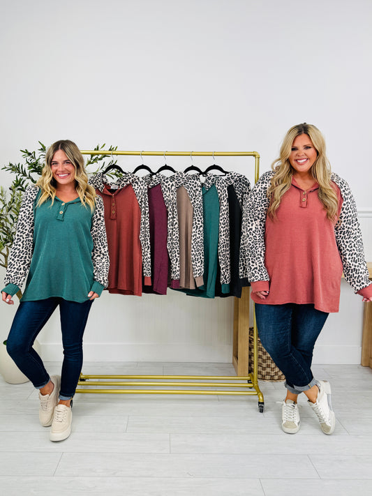 Simply Spotted Hoodie In Multiple Colors