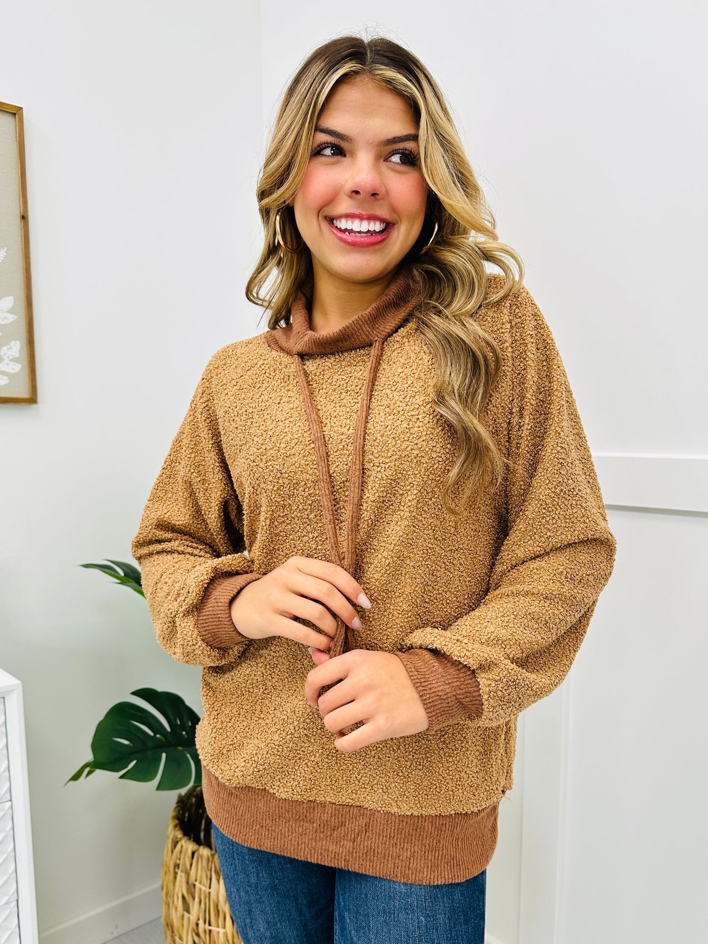 Cozy Chic Pullover- Multiple Colors!