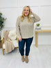 DOORBUSTER! REG/CURVY When In Doubt Sweater- Multiple Colors!