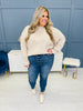 Judy Blue Plus/Reg Your Favorite Boyfriend Jeans