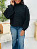 DOORBUSTER! The Cable Club Sweater- Multiple Colors!