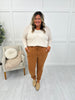 Judy Blue Comfortable in Camel Joggers in Reg/Curvy