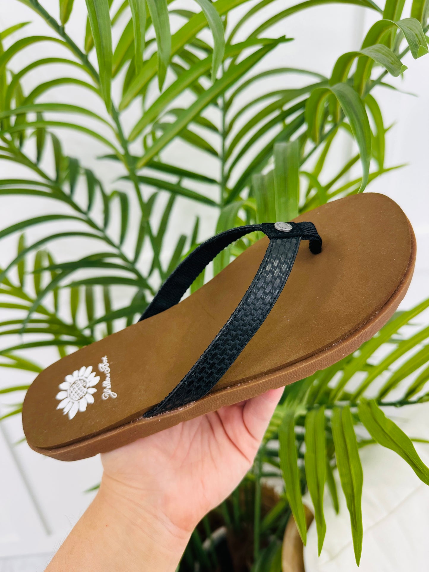 Salty Soles Flip Flops In Black