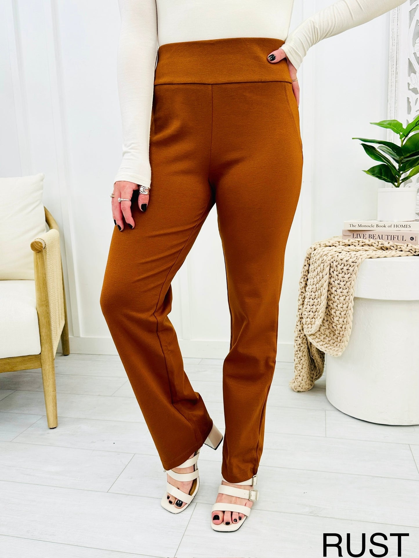 REG/CURVY Straight Leg Magic Pants-Multiple Colors!