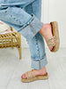 Judy Blue The Perfect Date Straight Jeans