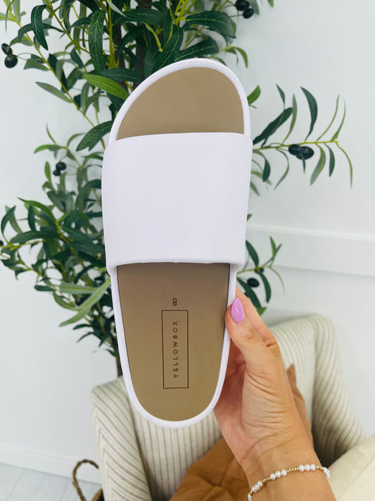 Blank Slate Slides- Multiple Colors!