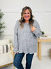 Wild About Cozy Top in Silver