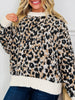 Caught Your Eye Sweater