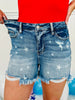 Judy Blue Starstruck Style Cutoff Shorts