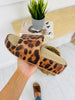 Blank Slate Slides- Multiple Colors!