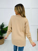 REG/CURVY Natural Glow Sweatshirt