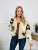 Season’s Stitch Cardigan in Taupe