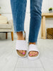 Blank Slate Slides- Multiple Colors!