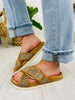 Buckle Up Babe Sandals