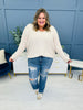 Judy Blue REG/CURVY Get Something Straight Mid Rise Jeans