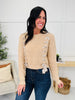 Ribbon Dreams Sweater in Taupe