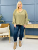 Reg/Curvy Neutral Harmony Sweater-Multiple Colors!