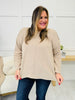 DOORBUSTER! The Everyday Cozy Sweater- Multiple Colors!