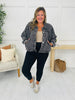 REG/CURVY Miles Ahead Jacket
