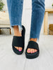 Blank Slate Slides- Multiple Colors!