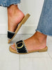Daily Detail Sandals In Black