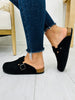 Buckle And Stroll Clogs In Black Suede