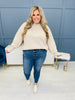 Judy Blue Plus/Reg Your Favorite Boyfriend Jeans