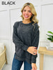 DOORBUSTER! REG/CURVY Irresistibly Sweet Sweater- Multiple Colors!