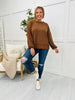 REG/CURVY It's Cozy Season Sweater-- Multiple Colors