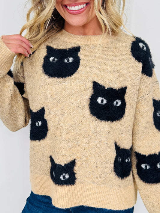 Black Cat Behavior Sweater