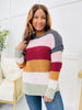 REG/CURVY Colors Of Life Sweater