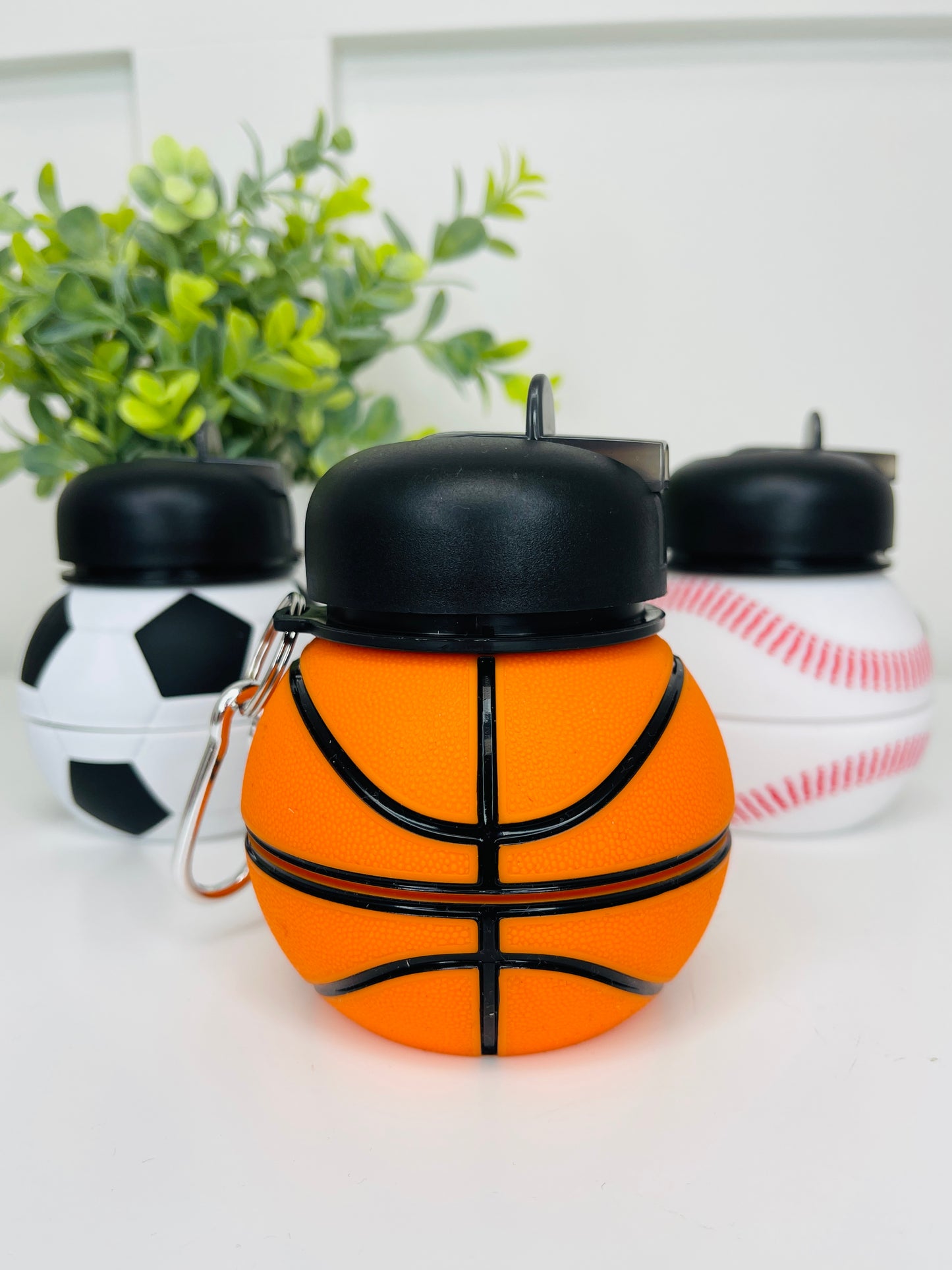 Collapsable Sport Bottle- Multiple Styles!