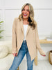 REG/CURVY Celebrate Success Blazer- Multiple Colors!