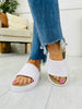 Blank Slate Slides- Multiple Colors!