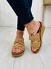 City Chic Wedges In Camel