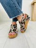 Fiercely Elevated Wedges