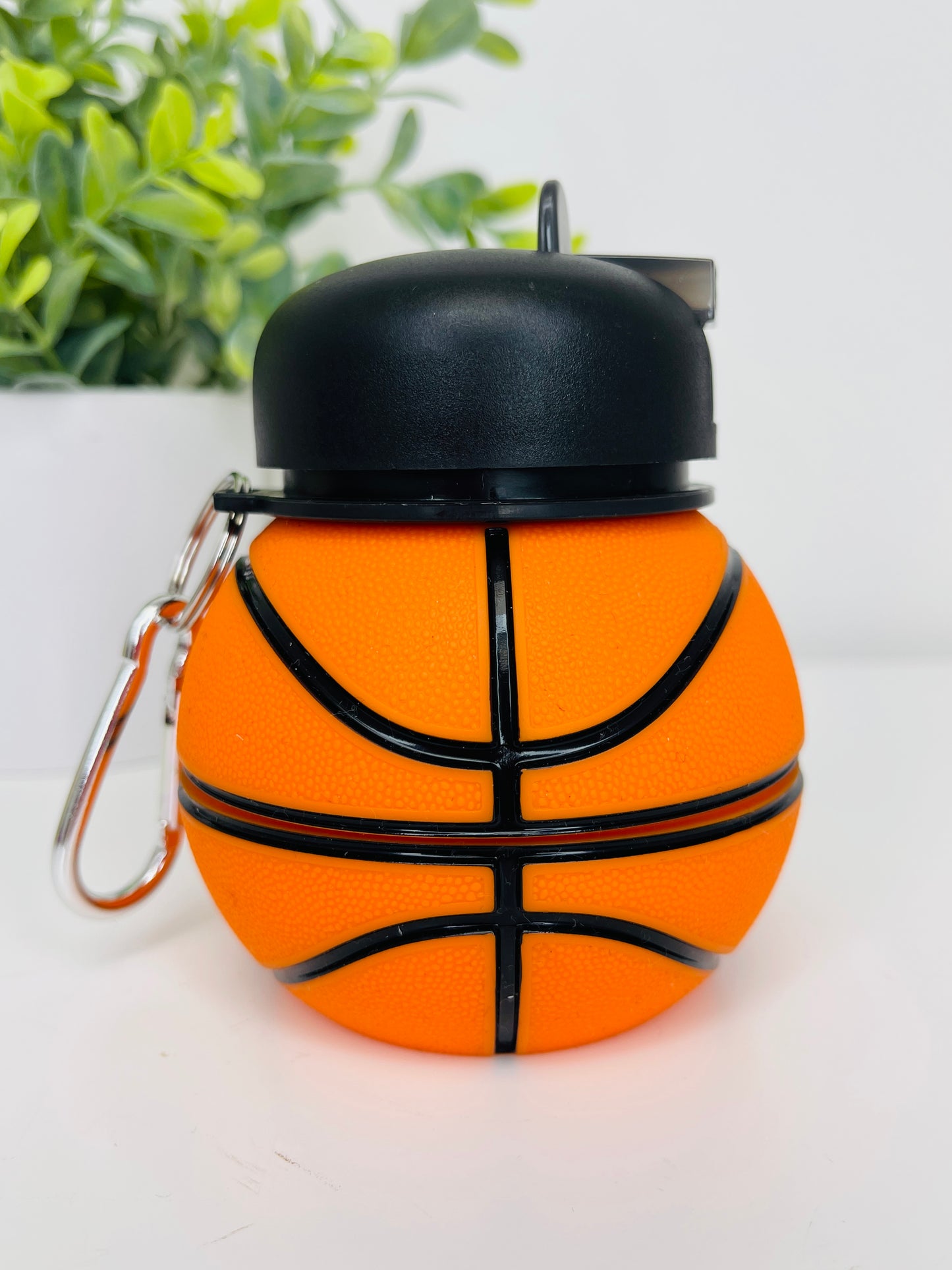 Collapsable Sport Bottle- Multiple Styles!