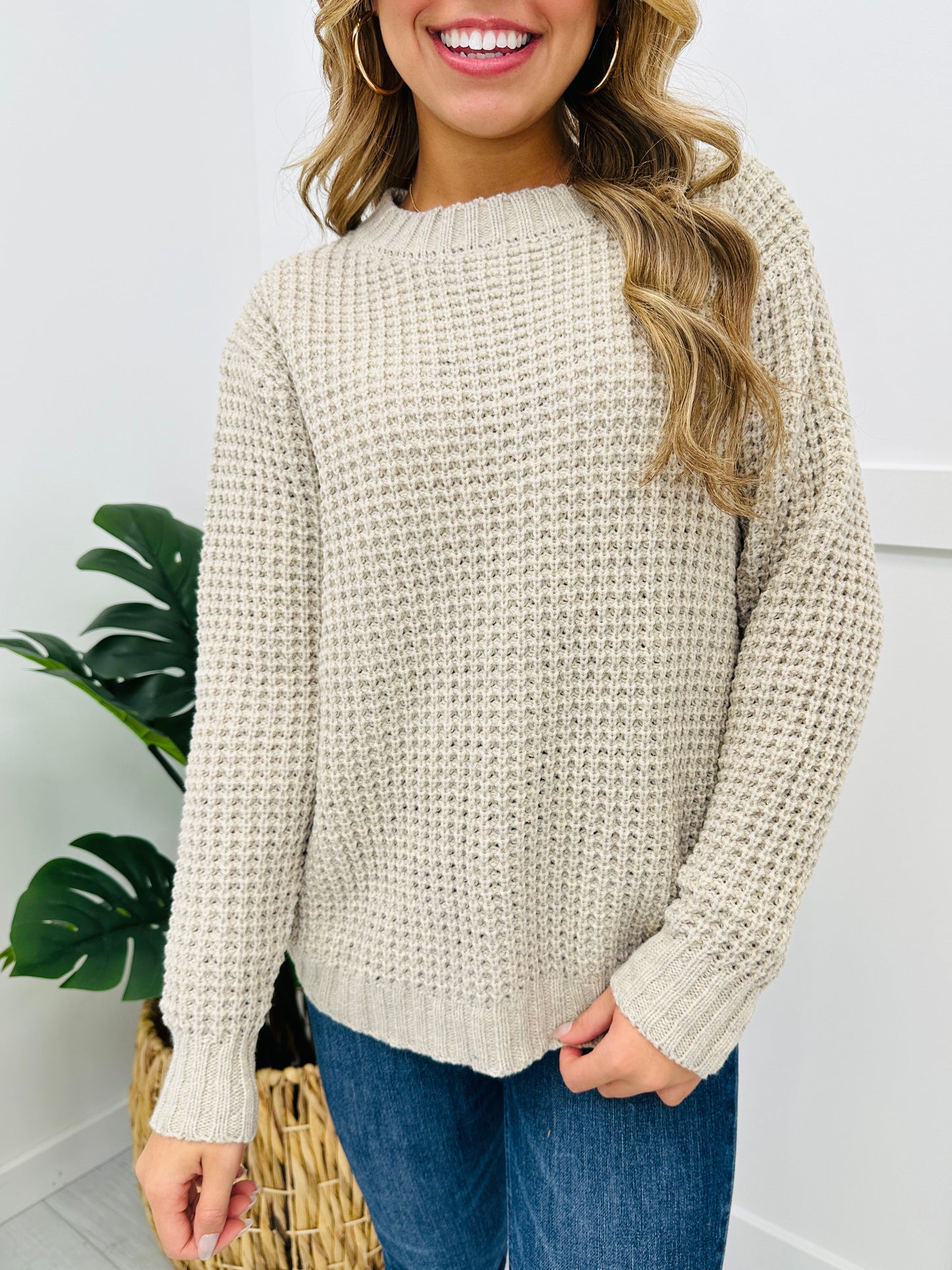 DOORBUSTER! REG/CURVY When In Doubt Sweater- Multiple Colors!